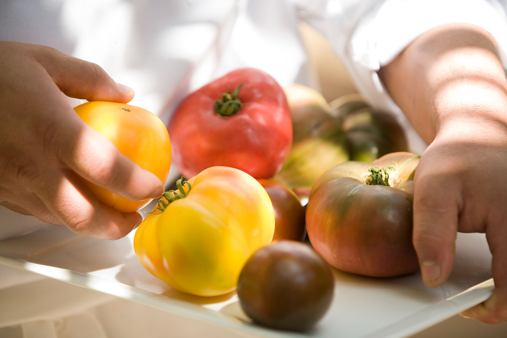 Heirloom_tomatoes_Pelican_Hill